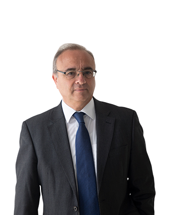 Mr Ian Mizzi